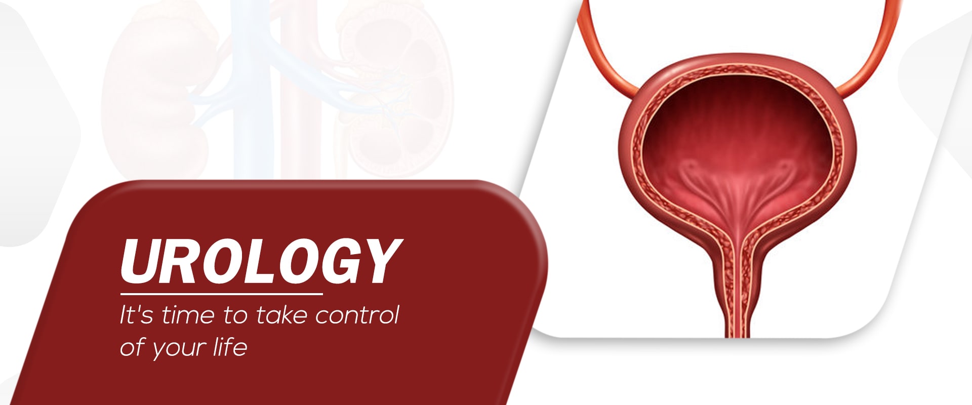 female urology 2-min (1)